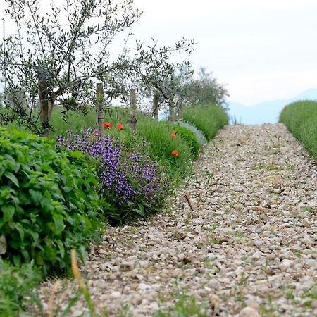 Agriturismo2Laghi Ponti sul Mincio Εξωτερικό φωτογραφία