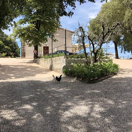 Agriturismo2Laghi Ponti sul Mincio Εξωτερικό φωτογραφία